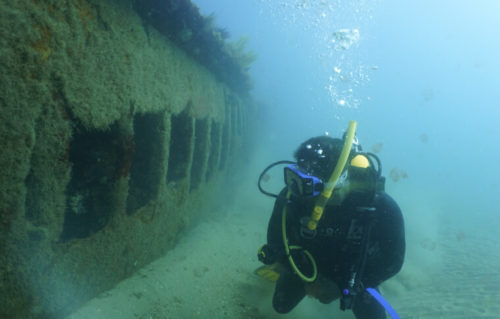 A diver inspects a sunken ship.